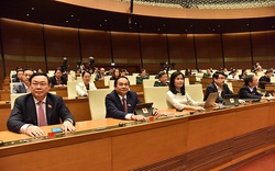 Chủ nhiệm Ủy ban Kinh tế của Quốc hội: Điều hành xuất khẩu gạo thiếu đồng bộ, nhất quán