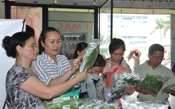 Mỗi tháng dân Hà Nội "ăn" gần 93.000 tấn gạo, hơn 30.000 tấn thịt lợn bò gà, cần nhiều kênh cung ứng