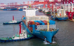WTO dự báo dòng chảy thương mại toàn cầu nứt gãy do đại dịch Covid-19