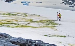 Băng tuyết Nam cực chuyển màu xanh, lời cảnh báo sốc cho nhân loại