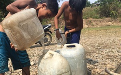 Tây Nguyên: Nắng nóng kéo dài nhiều tháng, người dân "chạy nước từng bữa"