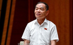 ĐBQH Lê Thanh Vân dẫn việc đường lưỡi bò và các nguy cơ để đề nghị có Luật an ninh kinh tế