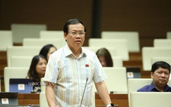 ĐBQH đề xuất dân trực tiếp bầu Chủ tịch khi bàn cơ chế đặc thù cho Đà Nẵng