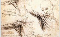 Những thiết kế vượt thời gian của Leonardo da Vinci