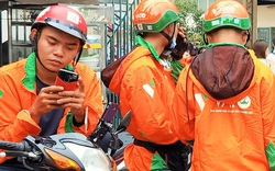 Khảo sát 602 tài xế xe ôm công nghệ tại Hà Nội, Đà Nẵng và TP.HCM: 80% xác nhận chạy ẩu