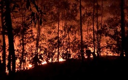 Hơn 10 giờ khống chế vụ cháy trên núi tại Đà Nẵng