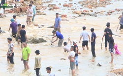 Vỡ đập ở Phú Thọ: Dân mặc kệ nguy hiểm lao ra bắt cá