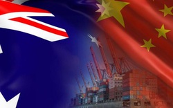 Bị áp thuế yến mạch 80,5%, Australia cũng điều tra hàng loạt sản phẩm Trung Quốc