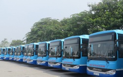 Từ ngày 4-5, 100% xe buýt Hà Nội hoạt động trở lại