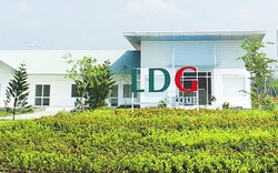 Đồng Nai: LDG Group tiếp tục ‘đội sổ’ danh sách nợ thuế khủng  