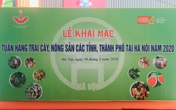 Hàng trăm đặc sản địa phương tập trung tại Hà Nội