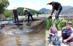 Nuôi nhốt toàn cá đặc sản quý hiếm, xưa ví như "thủy quái dòng sông" mà dân ở đây đổi đời