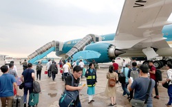 Cục Hàng không Việt Nam đề xuất tăng tần suất bay nội địa