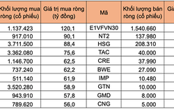 Tự doanh mua ròng hơn 1.000 tỷ đồng phiên ngày 8/5, gom mạnh VNM