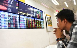 Thị trường chứng khoán Việt trong tháng 6, điều gì đang chờ đón?
