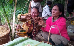 Lạ lùng: Vùng đất đi tuốt lúa lê thê cả tháng, chẳng dám cắt, không dám đập
