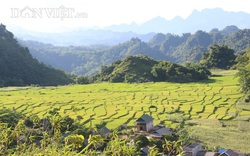 Ảnh: Mùa "ngọc trời" ở thung lũng Mai Châu