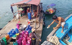 Cá to cá nhỏ đều bị tàu giã cào đánh bắt, lại thêm thiếu khu hậu cần, ngư dân Cô Tô gặp khó