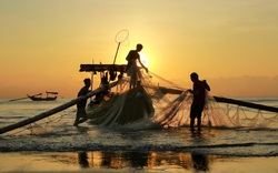 Chùm ảnh: Ra biển bắt cá tôm tươi rói những ngày nóng hơn 40 độ C ở Hà Tĩnh