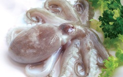 Xuất khẩu mực, bạch tuộc sang thị trường Hàn Quốc giảm sâu