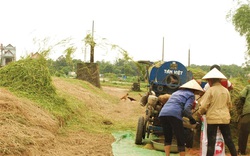 Thứ bỏ đi ở các làng quê, cho không ai lấy giờ "đổi đời" bước lên sàn thương mại điện tử