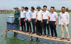 Thăm quan mô hình chăn nuôi tiền tỷ: Cho tôm “chung nhà” với cá trắm đen ở Nam Định