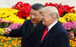 Trump muốn TQ giúp sức để thắng cử trong cuộc đua tổng thống 2020