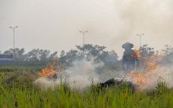 Nông dân lại đốt rơm rạ, khói 'bủa vây' đường cao tốc Hà Nội - Ninh Bình