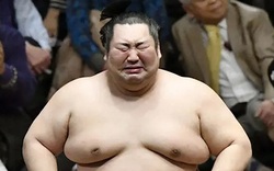 Sumo Nhật Bản: Bạo lực, tội ác và những góc khuất rùng mình