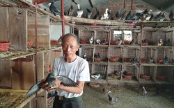 Thái Bình: Cụ thương binh cụt 1 chân, 85 tuổi vẫn "nuôi đủ thứ con", vợ ngày nào cũng có tiền