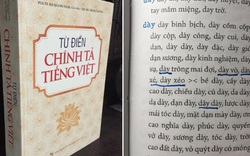 “Từ điển chính tả”... sai chính tả vẫn chưa được thu hồi?