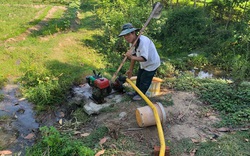 Quảng Nam: Công trình thủy lợi tiền tỷ “trùm mền”, nông dân vắt từng giọt nước