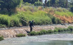 Đà Nẵng: "Nín thở" sống cùng hồ nước ô nhiễm