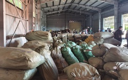 Bắt hơn 100 tấn dược liệu "đội lốt" hoa quả khô