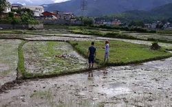 Vụ thảm án 3 người chết ở Điện Biên: Gia đình nghi phạm còn nợ hàng chục tỷ đồng