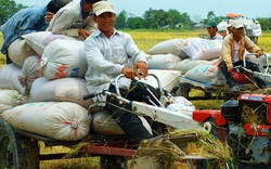 Sắp tới lái máy cày cũng phải có bằng