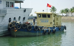 Giá nước sạch bất ngờ tăng, hàng trăm chủ tàu du lịch ở Vịnh Hạ Long kêu cứu