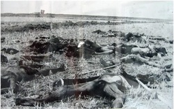 Chuyện về người đàn ông có hơn 200 người thân bị Khmer Đỏ sát hại