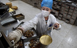 Từ bài thuốc cổ 1.800 năm, công ty Trung Quốc sản xuất thuốc điều trị Covid-19 kiếm bộn tiền