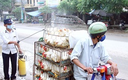 An toàn thực phẩm với thịt gia súc, gia cầm ở Hà Nội:
Kiểm soát lưu thông, chốt chặt nguồn gốc 