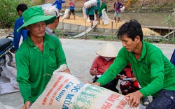 Giữa tháng 6 có kết luận thanh tra xuất khẩu gạo