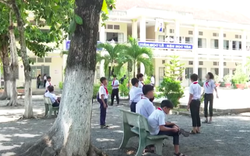 Thầy giáo bị tố dâm ô nam sinh ở Tây Ninh bị đình chỉ công tác 15 ngày