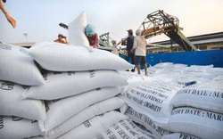 Xuất khẩu gạo tăng mạnh, có thể "soán ngôi vương" của Thái Lan