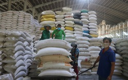 Trung Quốc tiến tới chủ động lương thực nhưng vẫn tăng mua gạo nếp từ Việt Nam