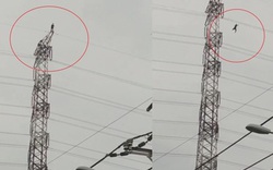 Video: Kinh hoàng người đàn ông đứng trên đỉnh cột điện cao thế rồi nhảy xuống 