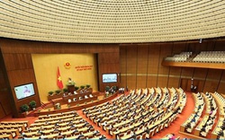 Quốc hội phê chuẩn EVFTA