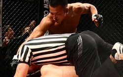 Bị khiêu khích, võ sĩ MMA hạ knock-out cả đối thủ và… trọng tài