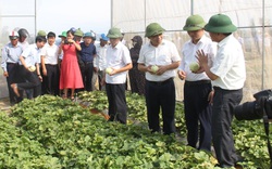 Hội Nông dân Nghệ An: Xây dựng 12 mô hình điểm về sản xuất, chế biến nông sản thực phẩm an toàn

