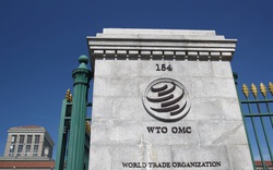 WTO chọn nhà lãnh đạo mới, Mỹ - Trung lại đối đầu