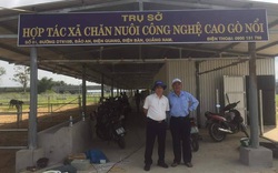 14 tỷ đồng "tiếp sức" cho 31 dự án Liên minh HTX tại Quảng Nam